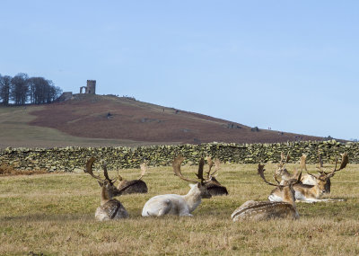 BradgatePark19.jpg