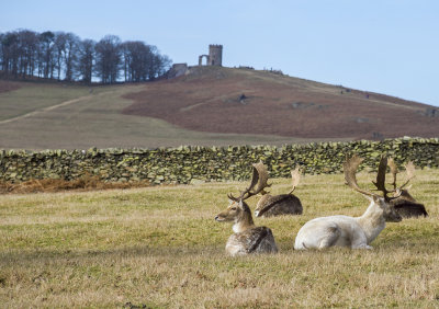 BradgatePark20.jpg