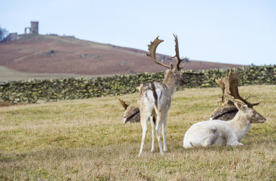 BradgatePark22.jpg