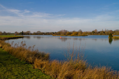 MarketBosworth04.jpg
