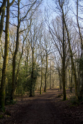 HartshillHayes11.jpg