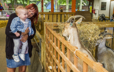AshEndHouseFarm14.jpg