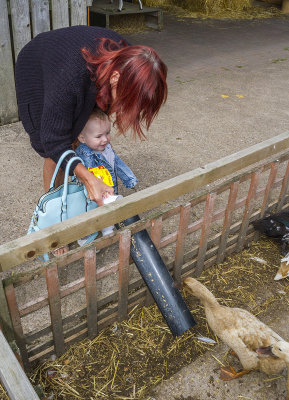 AshEndHouseFarm18.jpg