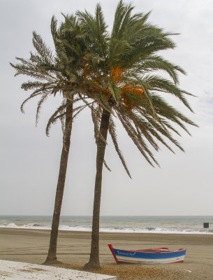 Andalucia123.jpg