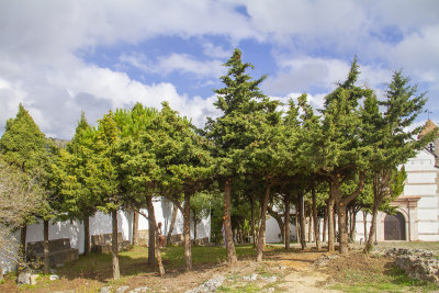 Andalucia259.jpg