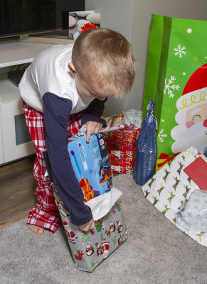 ChristmasDay007.jpg