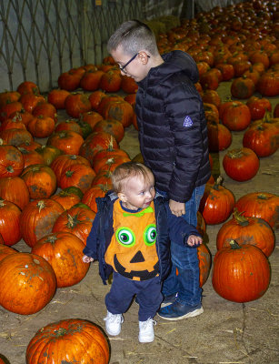 Halloween36.jpg
