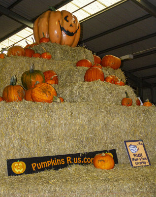 Halloween37.jpg