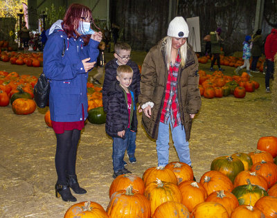Halloween48.jpg