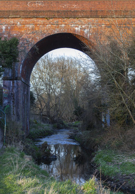 EveningWalk14.jpg