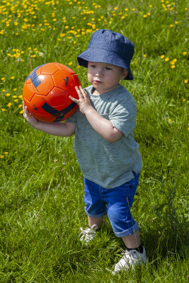 SheldonCountryPark22.jpg