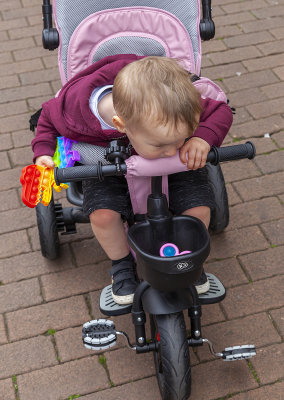 TamworthPark17.jpg