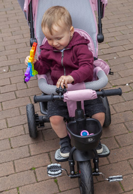 TamworthPark18.jpg