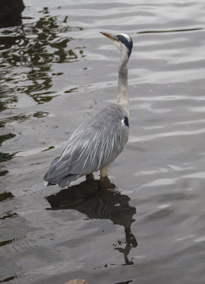 WarwickPark019.jpg