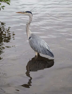 WarwickPark020.jpg