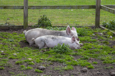 SheldonWithArchie&Charlie38.jpg