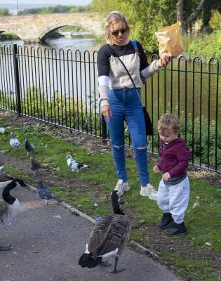 TamworthPark24.jpg