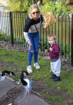 TamworthPark25.jpg