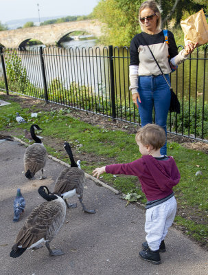 TamworthPark26.jpg