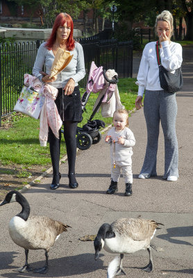 TamworthPark28.jpg