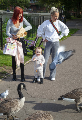 TamworthPark31.jpg