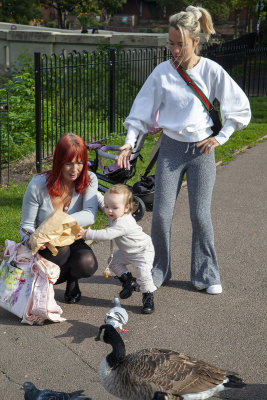 TamworthPark33.jpg