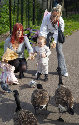 TamworthPark34.jpg
