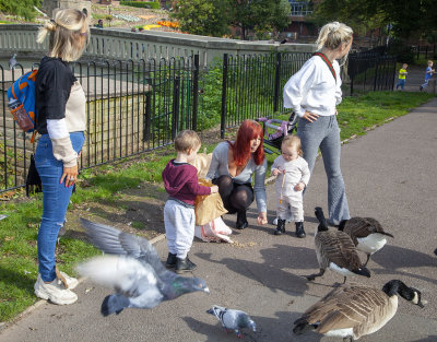 TamworthPark35.jpg