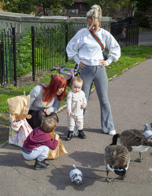 TamworthPark36.jpg