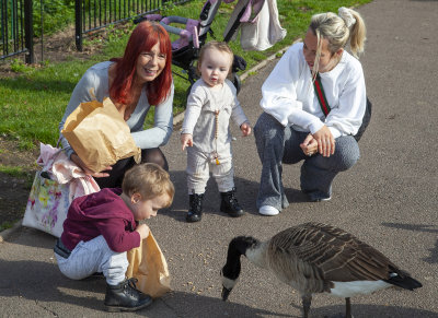TamworthPark38.jpg