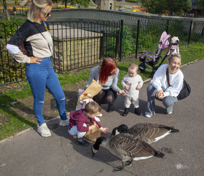 TamworthPark39.jpg