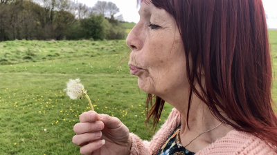 Dandelions04.jpg