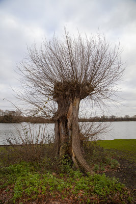 MorningWalk53.jpg