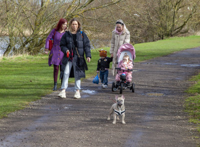 SundayFamilyWalk04.jpg