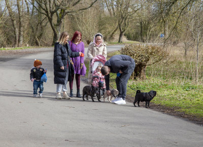 SundayFamilyWalk08.jpg