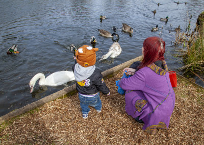 SundayFamilyWalk70.jpg