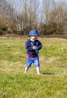 TheFieldwithArchie20.jpg
