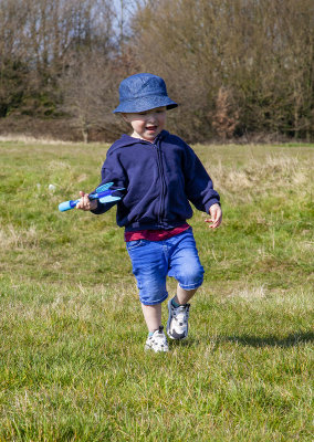 TheFieldwithArchie21.jpg