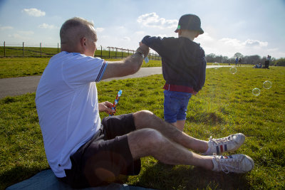 TheFieldwithArchie43.jpg