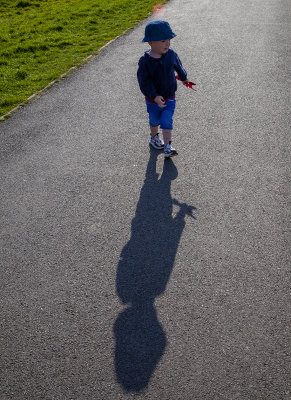 TheFieldwithArchie51.jpg