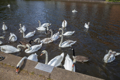Stratford10.jpg
