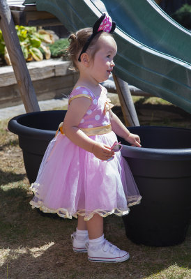 HavanasBirthdayParty002.jpg
