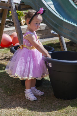 HavanasBirthdayParty009.jpg
