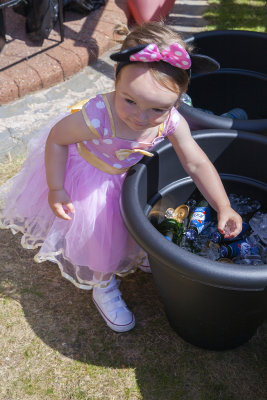 HavanasBirthdayParty010.jpg