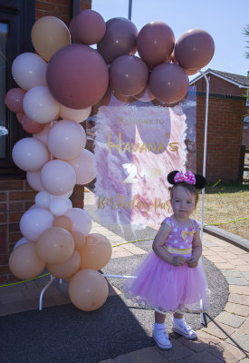 HavanasBirthdayParty011.jpg