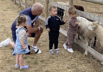 Broomey Croft Childrens Farm
