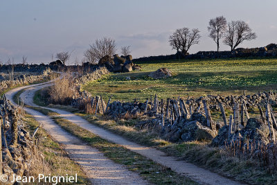 Aubrac 2019