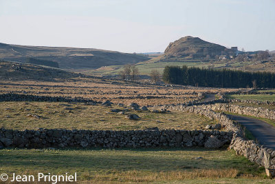 Aubrac 2019