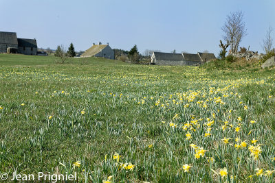 Aubrac 2019