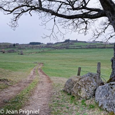Aubrac 2019